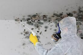 Best Industrial Mold Remediation  in Tunica, MS